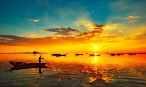 飞归故乡,探寻迁徙背后的故乡情怀