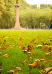 大自然的春与秋,大自然的轮回之美