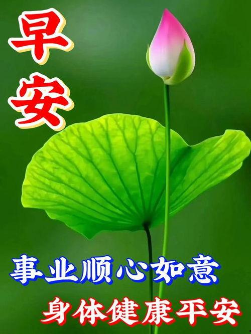 又是充满希望的一天,又是充满希望的一天”