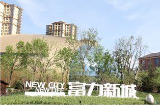 新城妈妈3,温馨家庭生活新篇章