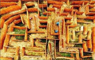 草迷宫,自然与艺术的完美融合