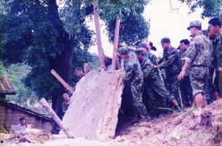 少年下山：智闯花都,智闯花都，勇闯江湖传奇