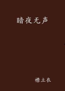 暗夜无声,探寻寂静之夜的秘密与奥秘