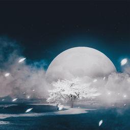 吻明月,浪漫启程