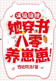 八零之五宝喜盈门